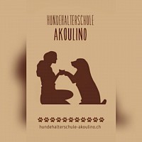 Hundehalterschule Akoulino