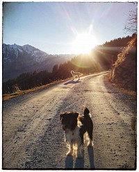 Bündner Rigi, Surcuolm