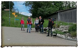 Socialwalk Scherz/Habsburg