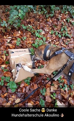 Futterbeutel wurde in einer Kartonschachtel verpackt