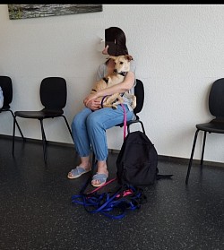 Begleitung und warten in der Tierarztpraxis bei einem sehr ängstlichen Hund